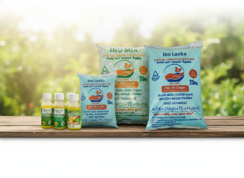 Gemini_Generated_Image_siw85lsiw85lsiw8